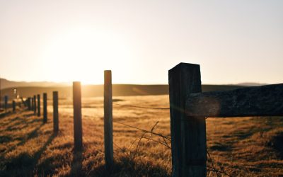 Heart Over The Fence